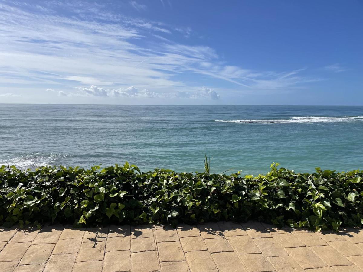 La Sirena Del Viento Bed & Breakfast ลอสกาญอสเดเมกา ภายนอก รูปภาพ